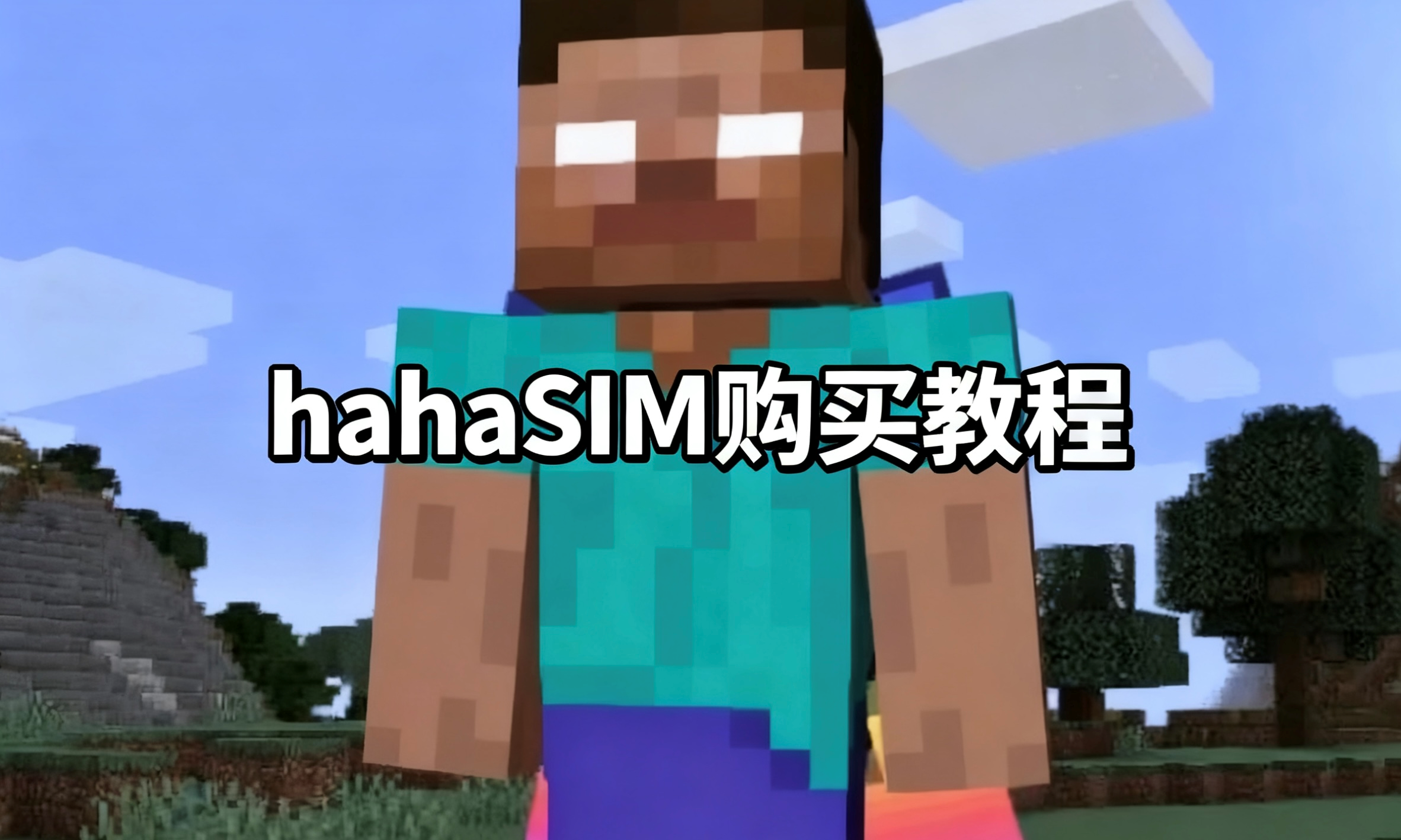 hahaSIM购买教程图片